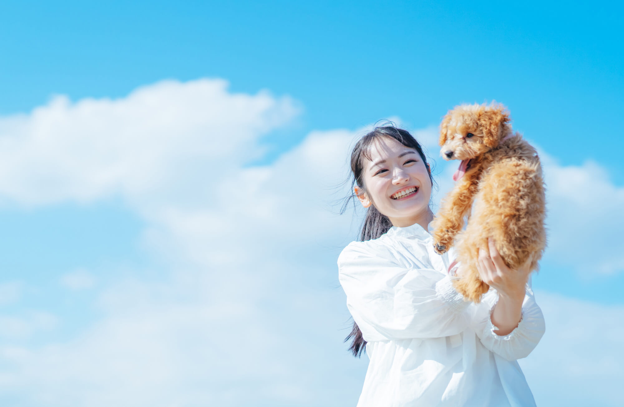 日本のペット保険加入率とは？